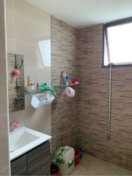 Parc Oasis (D22), Condominium #580052811